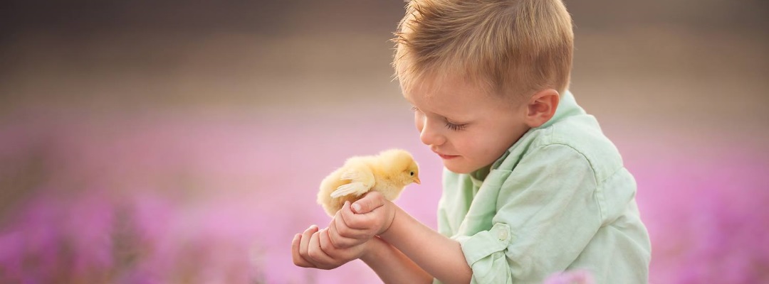 Foto: Lisa Holloway