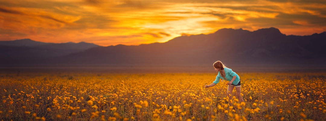 Foto: Lisa Holloway