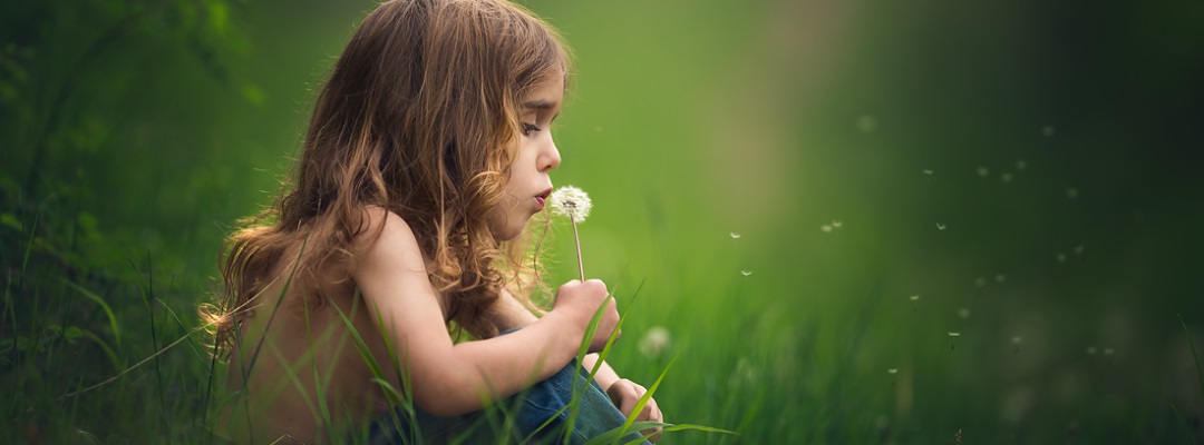 Foto: Lisa Holloway